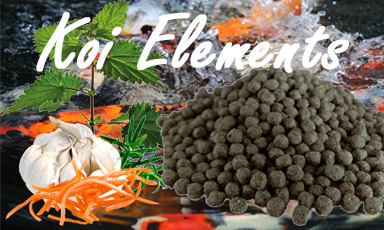 Koi Elements